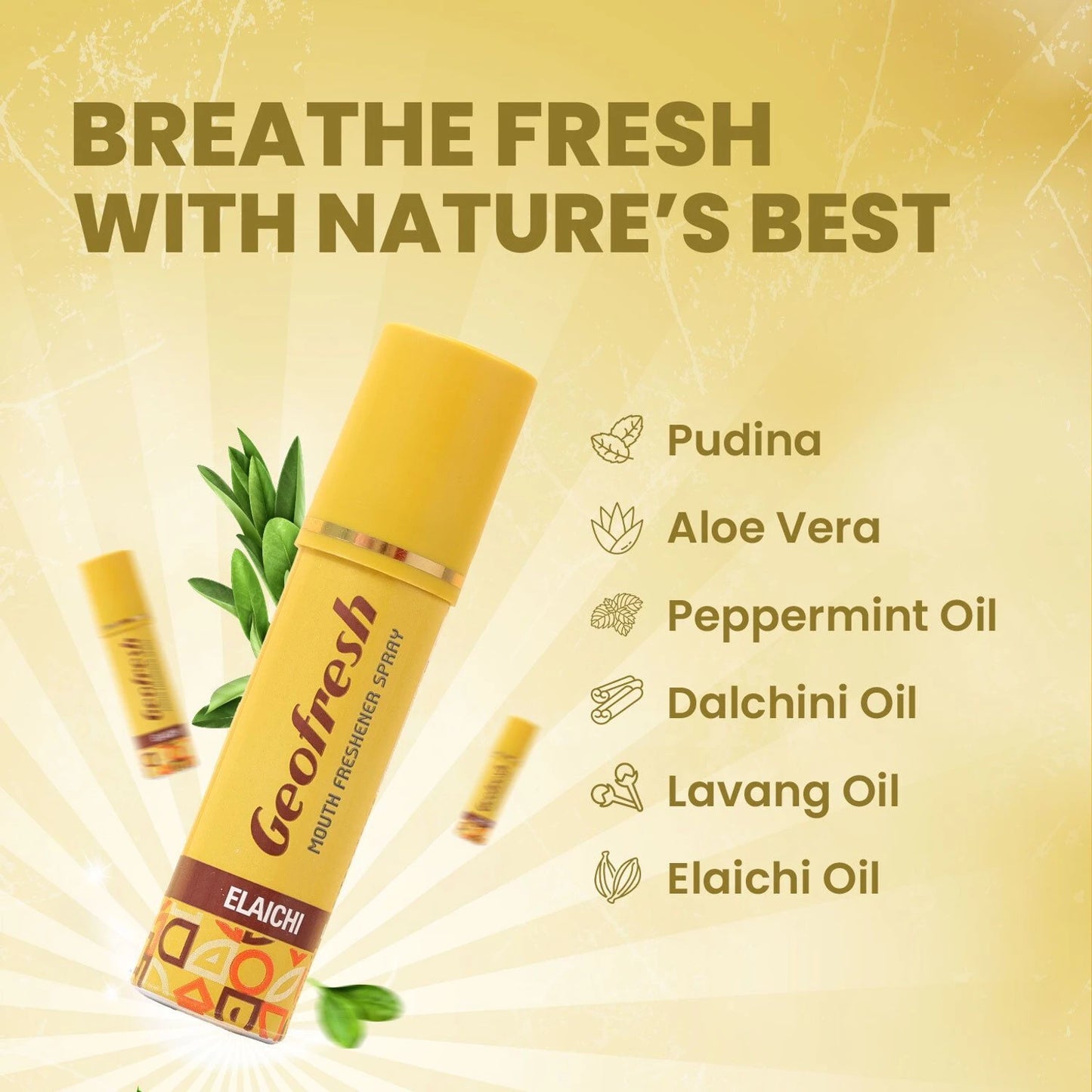 Geofresh Mouth Spray Cool Mint + Elaichi Flavor ( 2 Pc x 15 gm ) Spray (30 g)