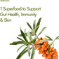 Kapiva Sea Buckthorn Juice | Pack of 2 | 500ml each